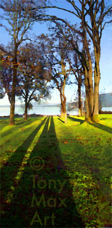 Kitsilano - Tree Shadows -  Vancouver art prints by  Tony Max