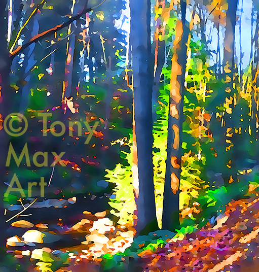 Quiet Creek Walk – Left – B. C. art by Canadian printmaker Tony Max