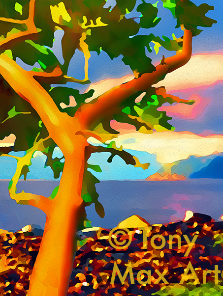 "Arbutus – Howe Sound – Vertical" -  British Columbia art prints  by artist Tony Max