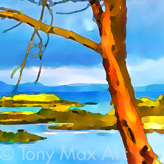 "Arbutus – Rugged Coast – Square" – British Columbia art by artist Tony Max