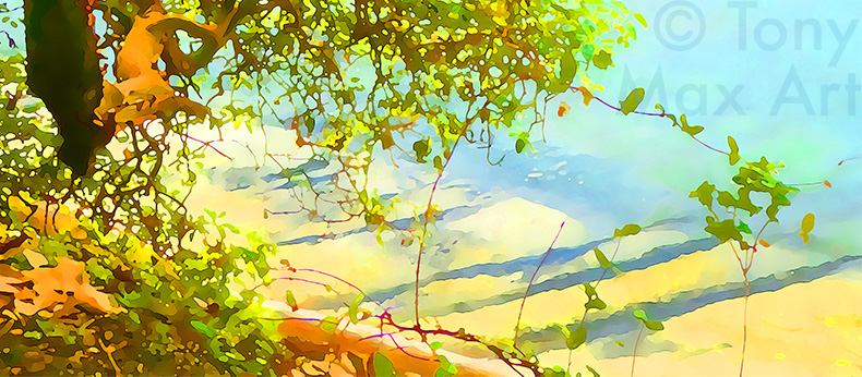 "Arbutus – Seeking Light – Horizontal" – western Canada fine art by artist Tony Max