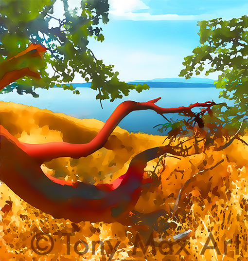 "Arbutus – Summer Memories – Almost Square" – arbutus paintings by artist Tony Max