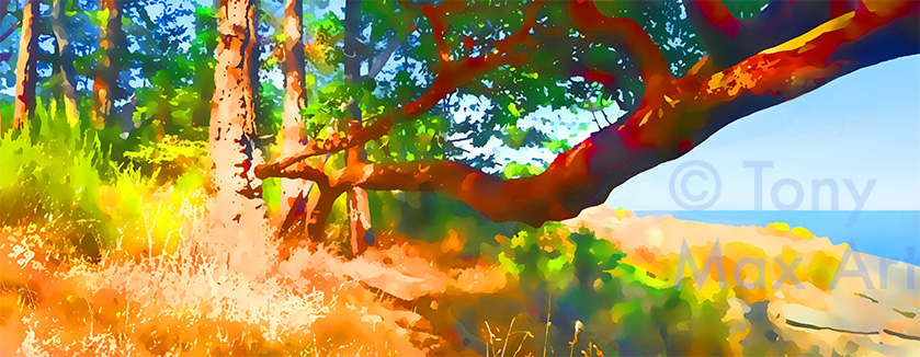 "Arbutus – Twisted Panorama" – arbutus art by artist Tony Max