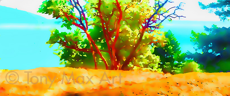 "Arbutus Vista – Panorama" -  arbutus paintings by painter Tony Max
