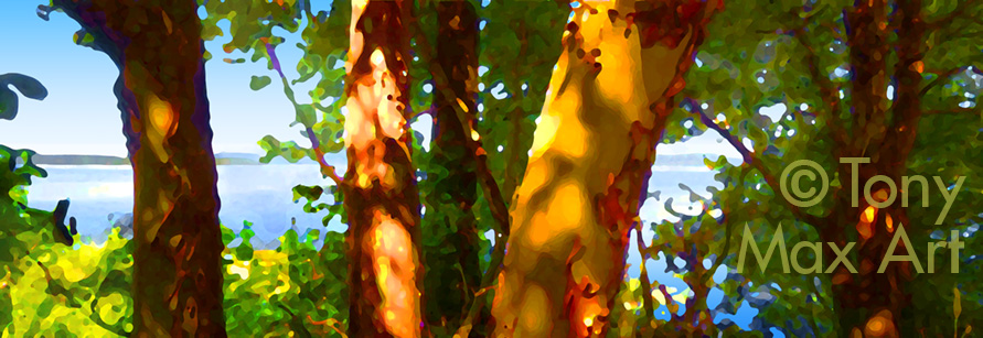 "Arbutus and Pacific"  - B.C. Gulf Islands art by artist Tony Max