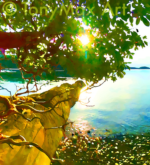 "Arbutus by the Breakwater" – arbutus prints by Canada's best fine artist, Tony Max
