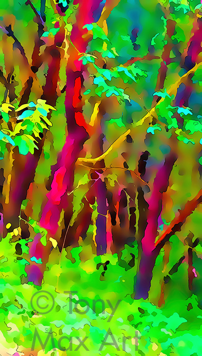"Arbutus in the Rain" – arbutus paintings by artist Tony Max