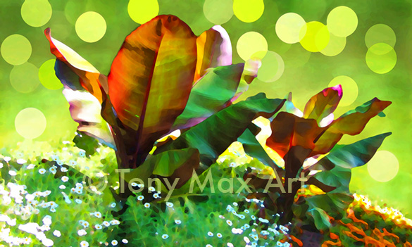 "Banana Plants with Circles of Confusion" – Tony Max botanical art prints.