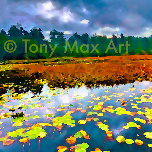 Beaver Lake – Square" – British Columbia fine art by artist Tony Max