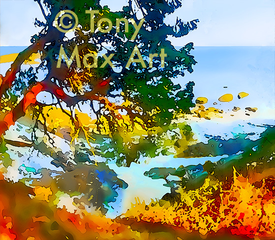 "Coastal Vista 11 – Close-up" – British Columbia paintings by painter Tony Max