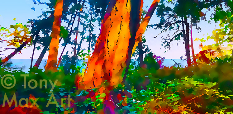 "Coastal Vista 12 – Panorama".  Museum-quality, archival, original, limited edition, signed and numbered, mixed media inkjet canvas art prints of British Columbia by painter Tony Max.