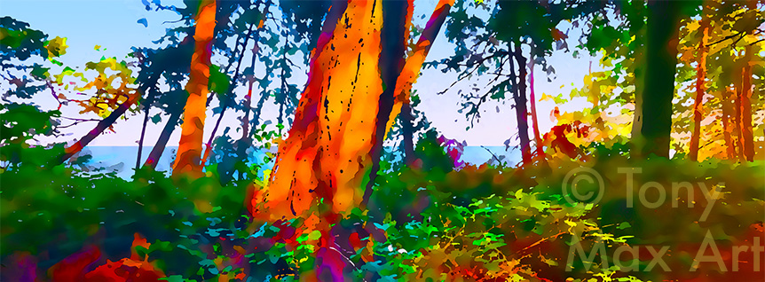 "Coastal Vista 12 – Panorama" – British Columb coastal art by artist Tony Max