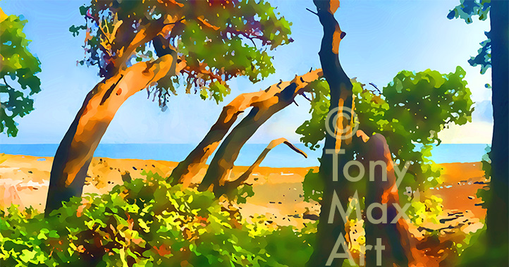 "Coastal Vista 2 – Middle" - British Columbia art prints by artist Tony Max