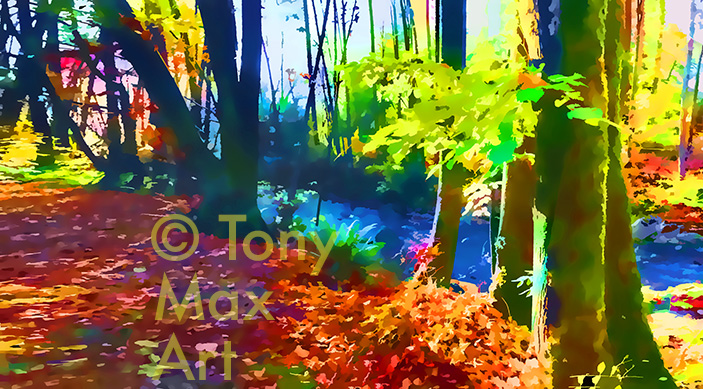 "Colored Creek – Horizontalt" – British Columbia art by artist Tony Max