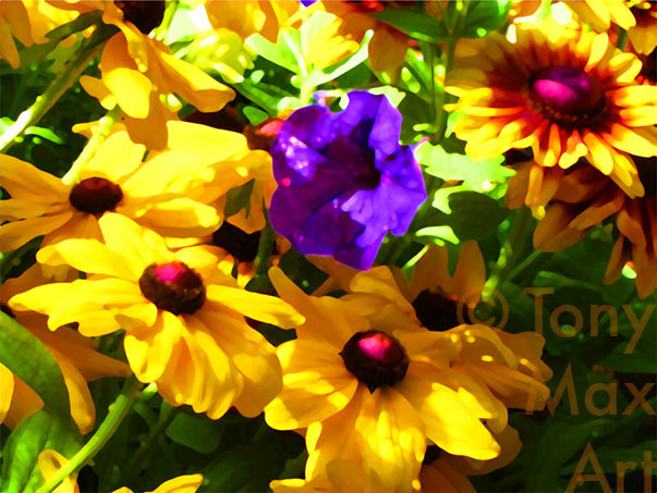 "Crazy Garden" – Botanical art by Tony Max 