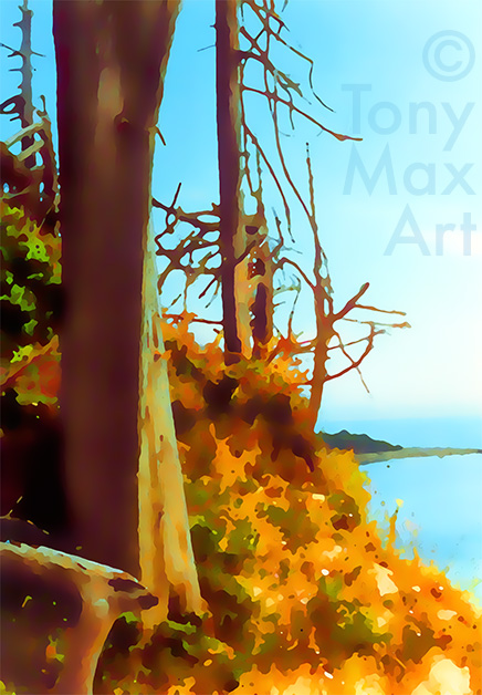 "Deadwood Lookout" - British Columbia paintings by painter Tony Max