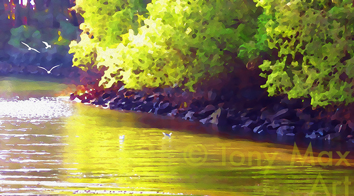 "Gull Haven - British Columbia fine art by Tony Max