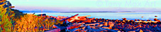Horizon Sun - British Columbia art by Tony Max