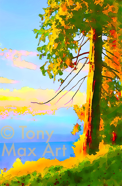 Island Promontory – Short"– British Columbia coastal prints by artist Tony Max