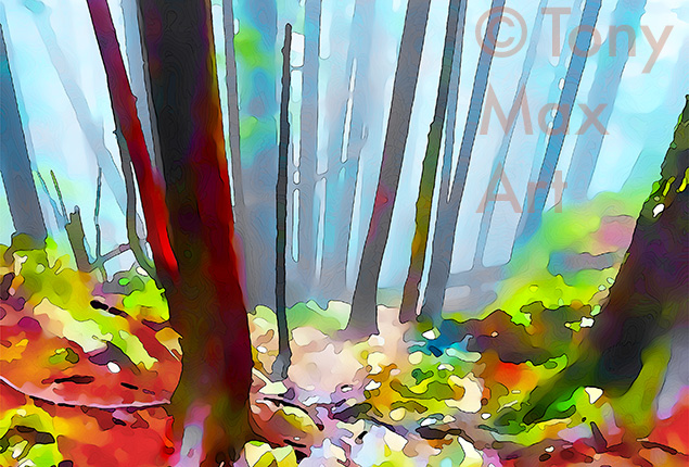 "Mountain Forest Stream – Horizontal" –  British Columbia art by Tony Max