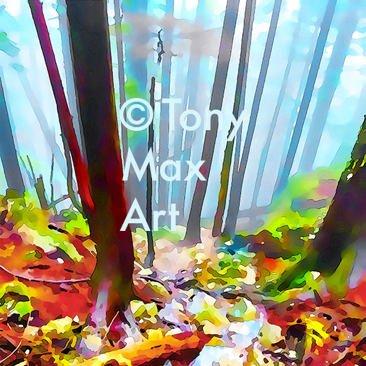 "Mountain Forest Stream – Square" – British Columbia wilderness art by artist Tony Max