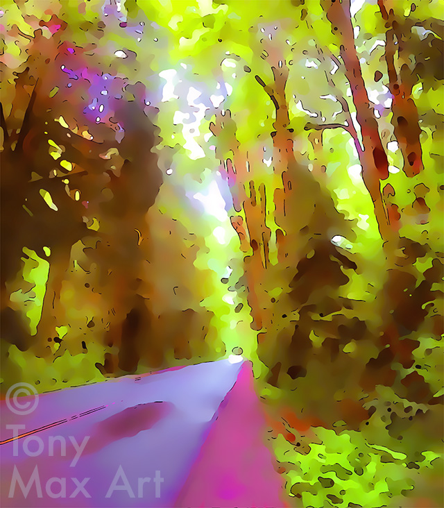 Paradise Valley Road – Squamish art prints by artist Tony Max