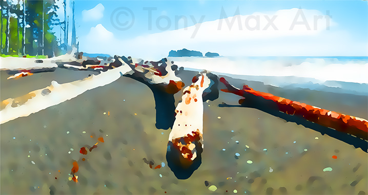 "Rialto Beach – Pointing Logs"– fine art prints by Tony Max