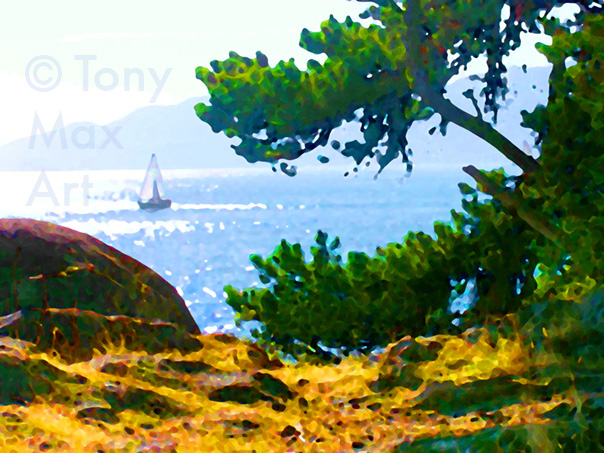 Sailing on the West Coast  -  British Columbia Art Prints by artist Tony Max