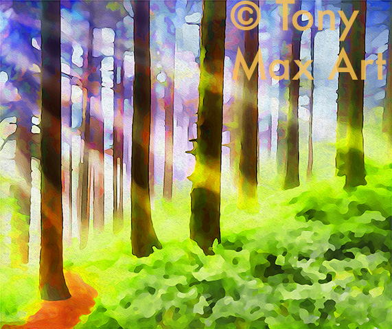 Sun Rays in Still Forest – British Columbia paintings by Tony Max