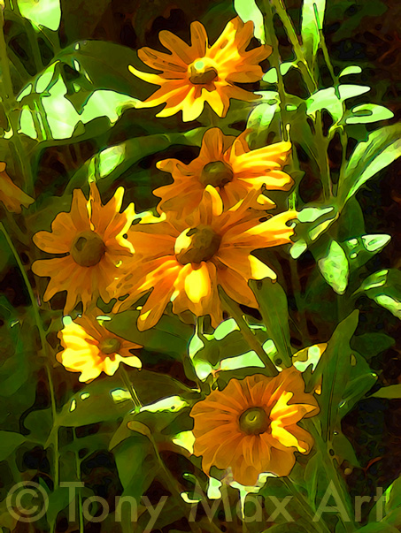 Sun Dapples Number 1 – Botanical art by Tony Max