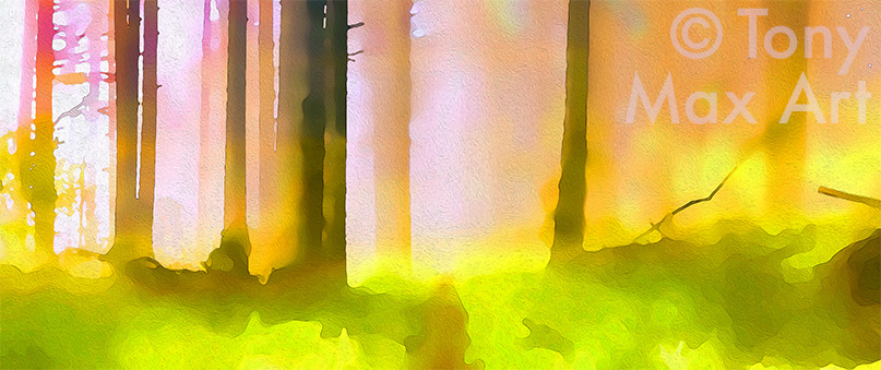 "Sunny, Foggy Trail – Panorama" British Columbia nature art pints by artist Tony Max