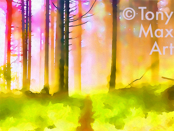 "Sunny, Foggy Trail" –  British Columbia art by artist Tony Max