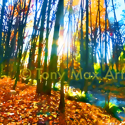 "Sunny Steam – Square – Canadian nature art by artist Tony Max