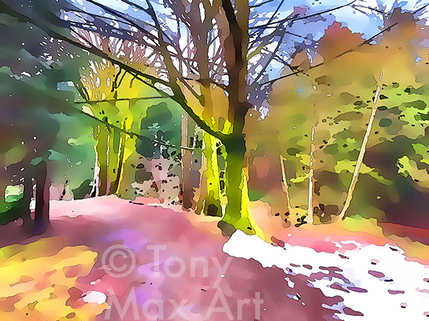 Wagg Park in Winter (Horizontal) – North Vancouver art by Tony Max